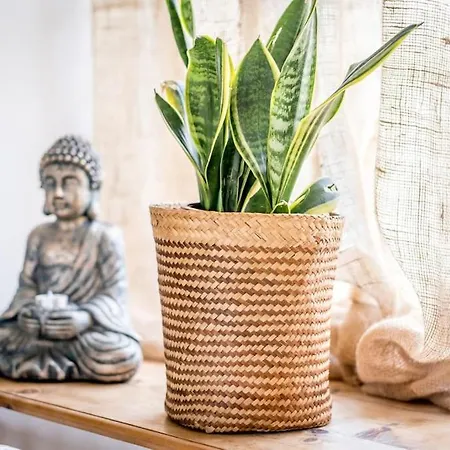 Water And Wildwood - The Bothy *